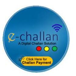 eChallan - Digital Traffic/Transport Enforcement Solution